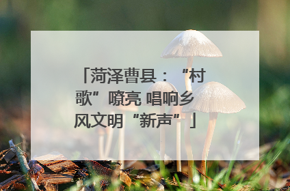 菏泽曹县：“村歌”嘹亮 唱响乡风文明“新声”