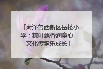 菏泽鲁西新区岳楼小学：粽叶飘香润童心 文化传承乐成长
