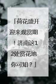 荷花盛开迎来观赏期！济南这12处赏花地你可知？