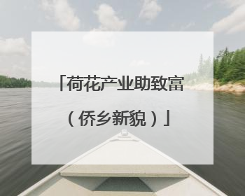 荷花产业助致富（侨乡新貌）
