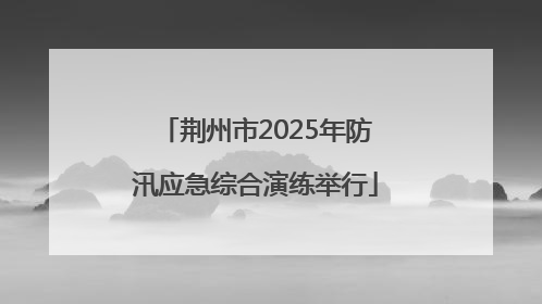 荆州市2025年防汛应急综合演练举行