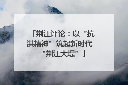 荆江评论：以“抗洪精神”筑起新时代“荆江大堤”