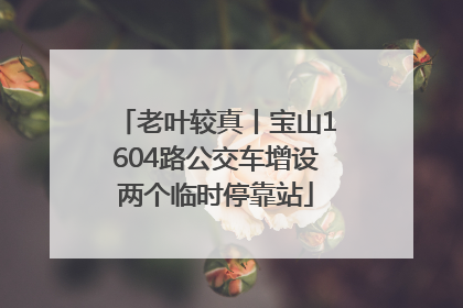 老叶较真丨宝山1604路公交车增设两个临时停靠站