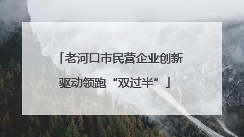 老河口市民营企业创新驱动领跑“双过半”
