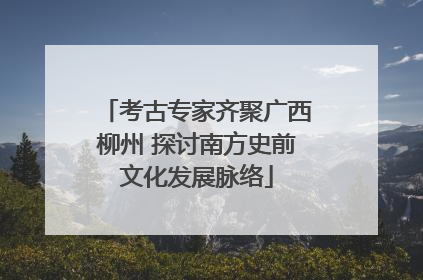 考古专家齐聚广西柳州 探讨南方史前文化发展脉络