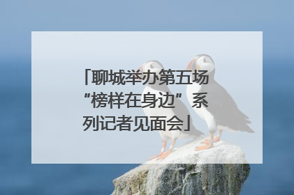 聊城举办第五场“榜样在身边”系列记者见面会