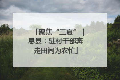 聚焦“三夏”｜息县：驻村干部奔走田间为农忙
