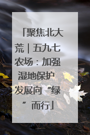 聚焦北大荒｜五九七农场：加强湿地保护 发展向“绿”而行