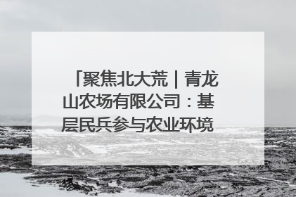 聚焦北大荒｜青龙山农场有限公司：基层民兵参与农业环境综合治理显效