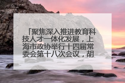 聚焦深入推进教育科技人才一体化发展，上海市政协举行十四届常委会第十八次会议，胡文容出席并讲话