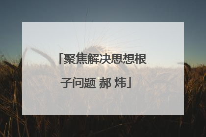 聚焦解决思想根子问题 郝 炜