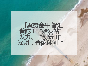 聚势金牛 智汇普陀〡“始发站”发力、“创新田”深耕，普陀科创“金牛”闪耀