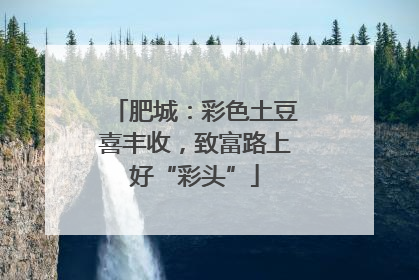 肥城：彩色土豆喜丰收，致富路上好“彩头”