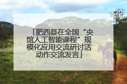 肥西县在全国“央馆人工智能课程”规模化应用交流研讨活动作交流发言