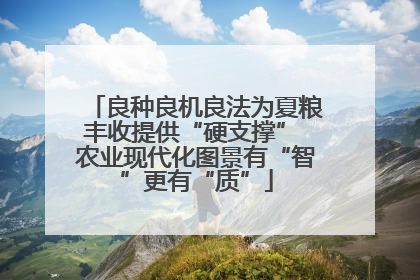 良种良机良法为夏粮丰收提供“硬支撑” 农业现代化图景有“智”更有“质”