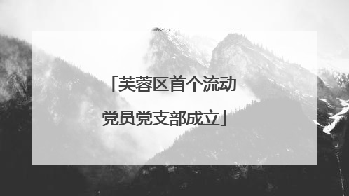 芙蓉区首个流动党员党支部成立