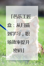 芭乐工匠盒：从扫描到学习，职场效率提升密码