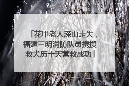 花甲老人深山走失，福建三明消防队员携搜救犬历十天营救成功