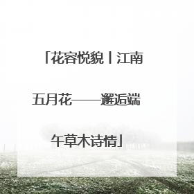 花容悦貌丨江南五月花——邂逅端午草木诗情