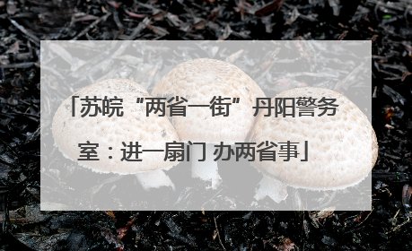 苏皖“两省一街”丹阳警务室：进一扇门 办两省事