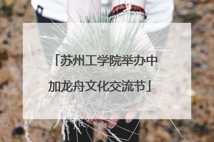苏州工学院举办中加龙舟文化交流节