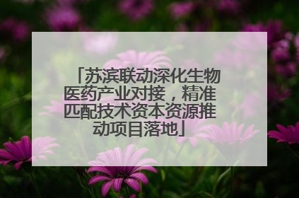 苏滨联动深化生物医药产业对接，精准匹配技术资本资源推动项目落地
