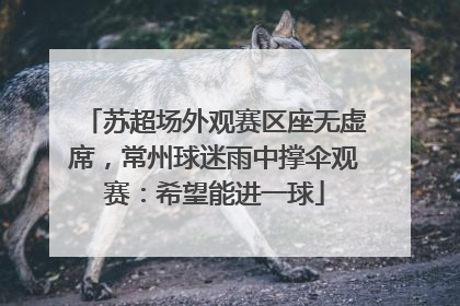 苏超场外观赛区座无虚席，常州球迷雨中撑伞观赛：希望能进一球