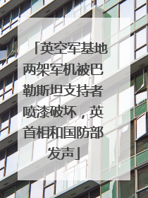 英空军基地两架军机被巴勒斯坦支持者喷漆破坏，英首相和国防部发声