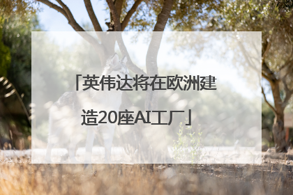 英伟达将在欧洲建造20座AI工厂