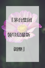 茅台集团领导层最新调整