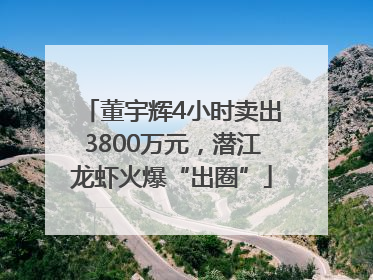 董宇辉4小时卖出3800万元，潜江龙虾火爆“出圈”