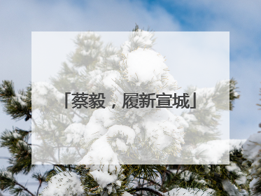 蔡毅，履新宣城