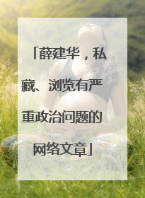 薛建华，私藏、浏览有严重政治问题的网络文章