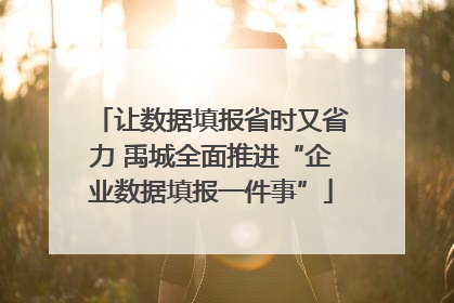 让数据填报省时又省力 禹城全面推进“企业数据填报一件事”