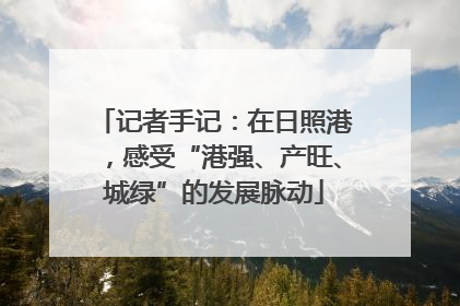 记者手记：在日照港，感受“港强、产旺、城绿”的发展脉动