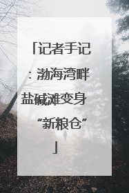记者手记：渤海湾畔盐碱滩变身“新粮仓”