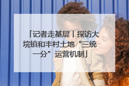 记者走基层丨探访大垸镇和丰村土地“三统一分”运营机制