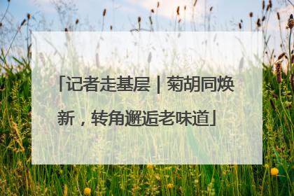 记者走基层｜菊胡同焕新，转角邂逅老味道