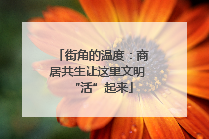 街角的温度：商居共生让这里文明“活”起来