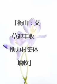 衡山：艾草迎丰收 助力村集体增收