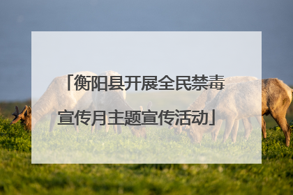 衡阳县开展全民禁毒宣传月主题宣传活动