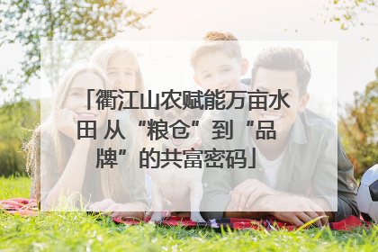 衢江山农赋能万亩水田 从“粮仓”到“品牌”的共富密码