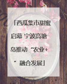 西瓜集市甜蜜启幕 宁波高塘岛推动“农业+”融合发展