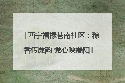 西宁福禄巷南社区：粽香传廉韵 党心映端阳
