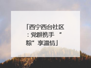 西宁西台社区：党群携手 “粽”享温情