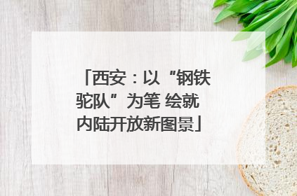 西安：以“钢铁驼队”为笔 绘就内陆开放新图景