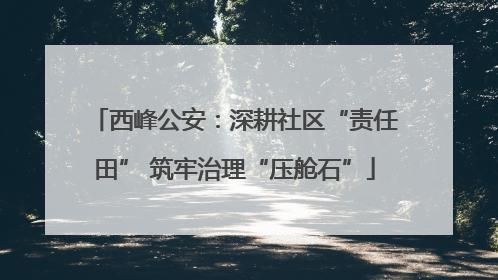 西峰公安：深耕社区“责任田” 筑牢治理“压舱石”