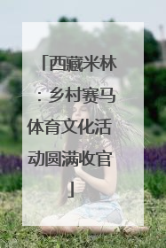 西藏米林：乡村赛马体育文化活动圆满收官