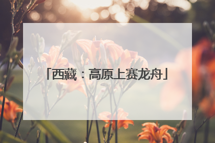 西藏：高原上赛龙舟