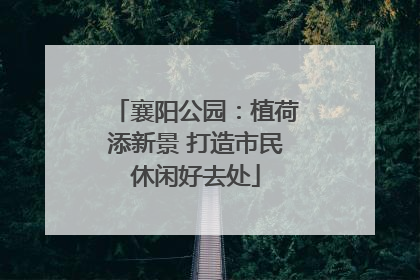 襄阳公园：植荷添新景 打造市民休闲好去处